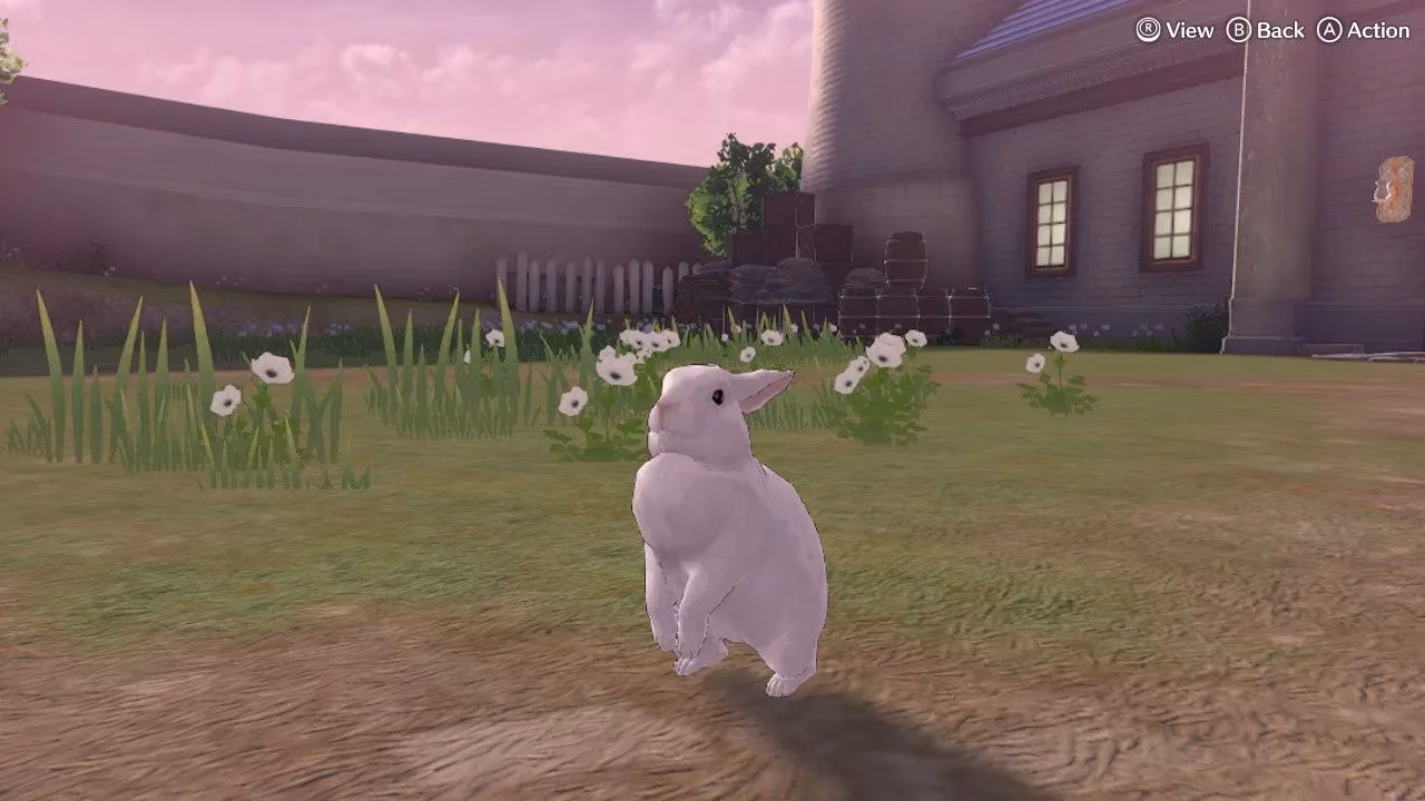 fire-emblem-engage-animal-guide-best-pets-rewards-and-farm-tips-image-4